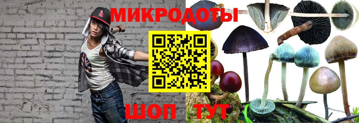 Псилоцибиновые грибы ЛСД Острогожск